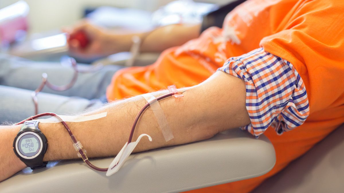 Sebelum Donor Darah Ini Persiapan Yang Perlu Dilakukan Klikdokter