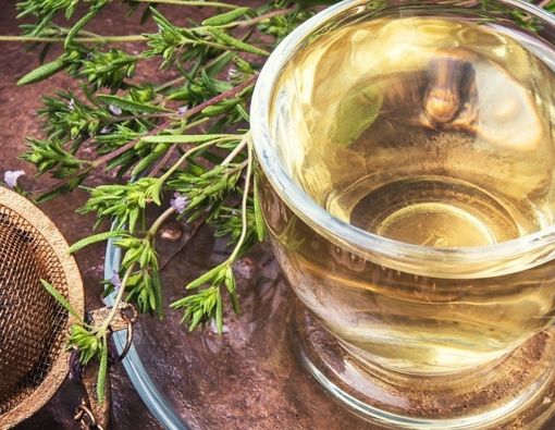 Manfaat Teh Oregano untuk Kesehatan Tubuh