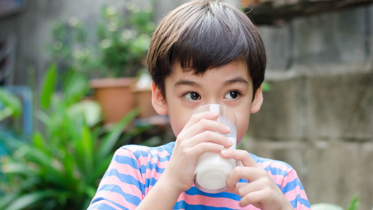 Kapan Anak Boleh Minum Susu Sapi?
