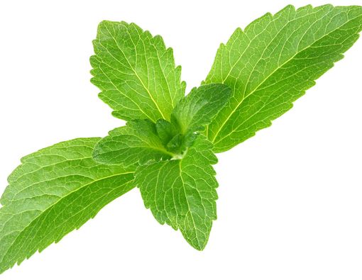 Baik Buruk Stevia, Pemanis Rendah Kalori Pengganti Gula