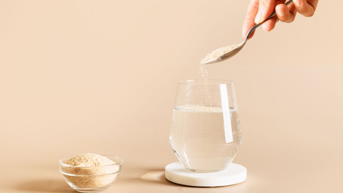 Psyllium Husk Powder