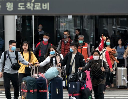 WNI dari Wuhan Bakal Pulang, Pemerintah Siapkan Karantina Virus Corona