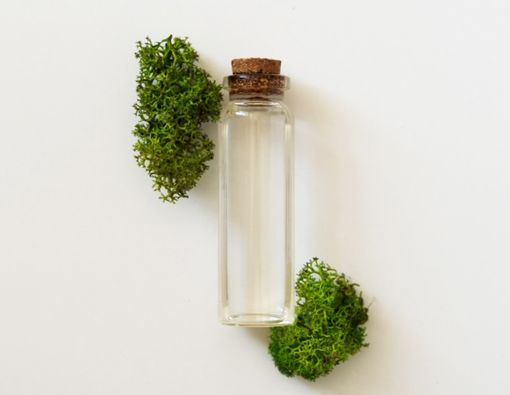 Intip Manfaat Lumut Laut untuk Skincare