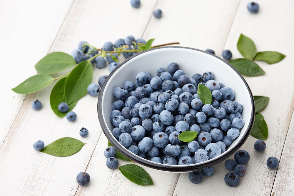 Asah Otak dengan Konsumsi Blueberry