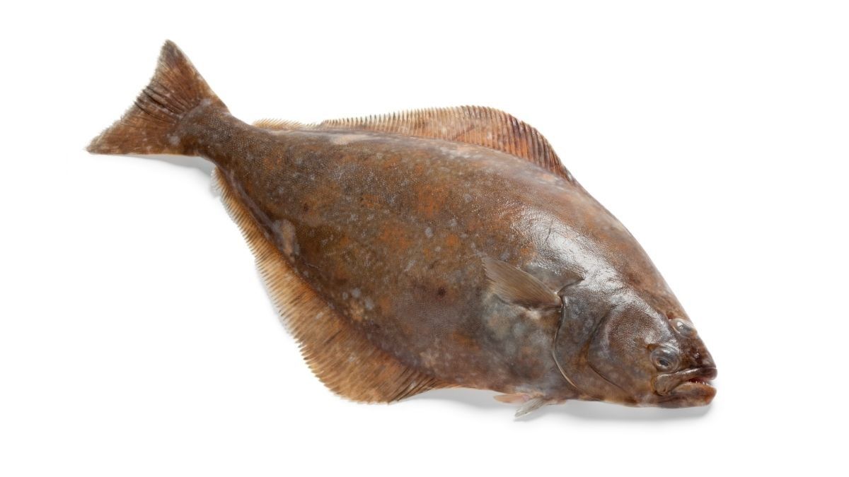 Amankan Mengonsumsi Halibut saat Hamil?