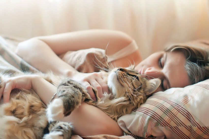 Sehatkah Tidur dengan Binatang Peliharaan?