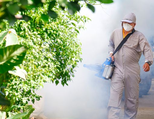 Tempat Favorit Bersarangnya Nyamuk DBD di Rumah Kita