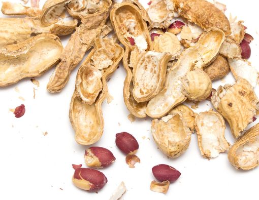 Yakin Kulit Kacang Bisa Bersihkan Karang Gigi? Ini Faktanya