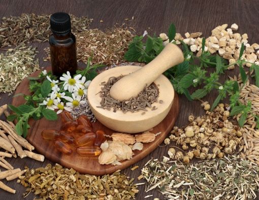 Terapi Herbal Ampuh Sembuhkan Penyakit