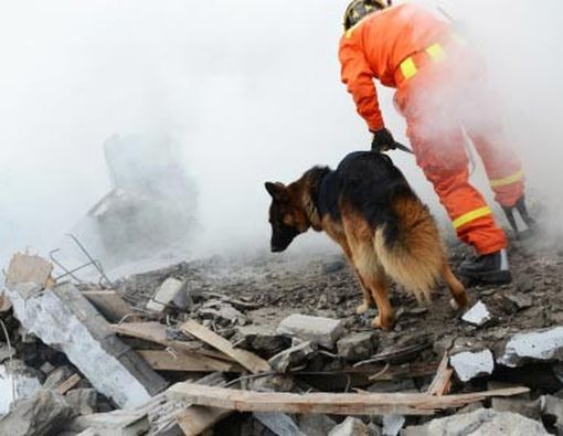 Gangguan Trauma Pascagempa dan Cara Menanganinya