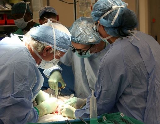 Mengungkap Prosedur Cangkok Jantung Babi Pertama untuk Manusia