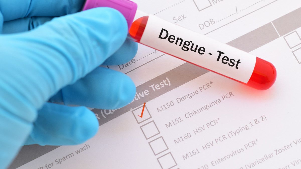 Cara Mudah Meningkatkan Trombosit Saat DBD