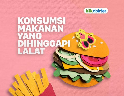 Makanan Dihinggapi Lalat, Masih Amankah Dimakan?