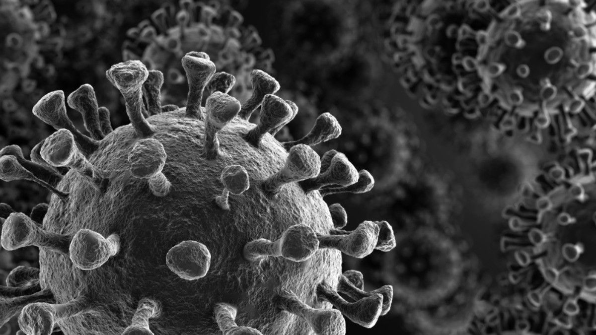 Ternyata, Virus Corona Juga Punya Kelemahan, Apa Saja?