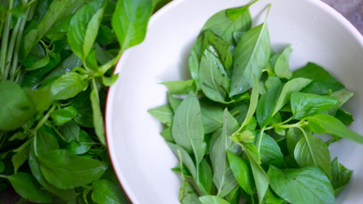 Manfaat Hebat Daun Kemangi untuk Kecantikan