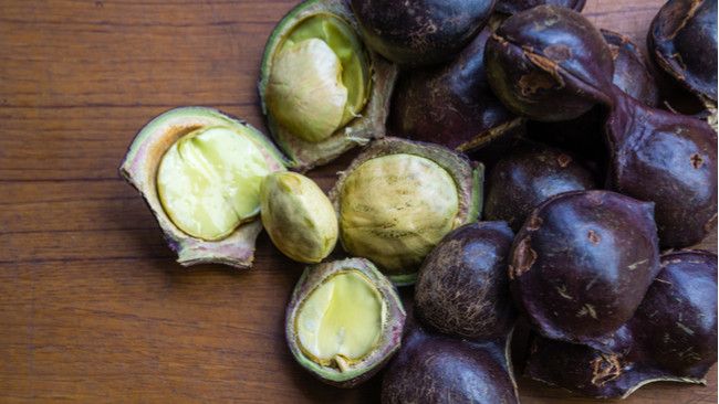 Harga Jengkol Naik, Apa Manfaat Jengkol bagi Kesehatan?