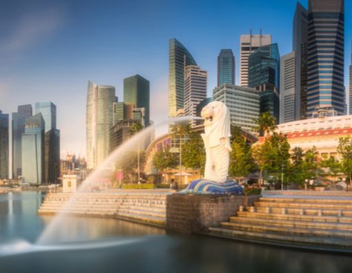 Waspada, Ada Kasus Cacar Monyet di Singapura!