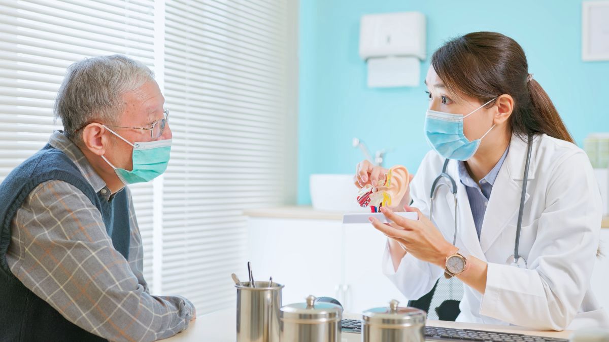 Fungsi dan Cara Kerja Gendang Telinga 