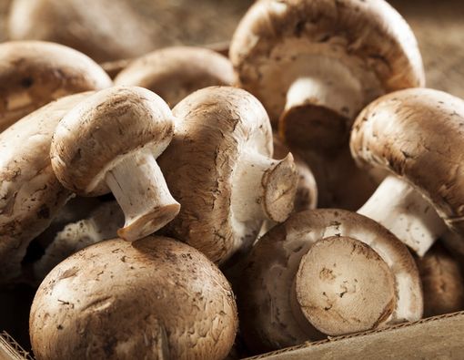 Bayi Boleh Makan Jamur, Ini Tips Sehatnya!