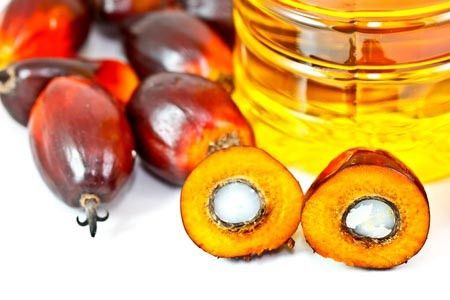 Waspada Bahaya Minyak Sawit Terhadap Kesehatan 