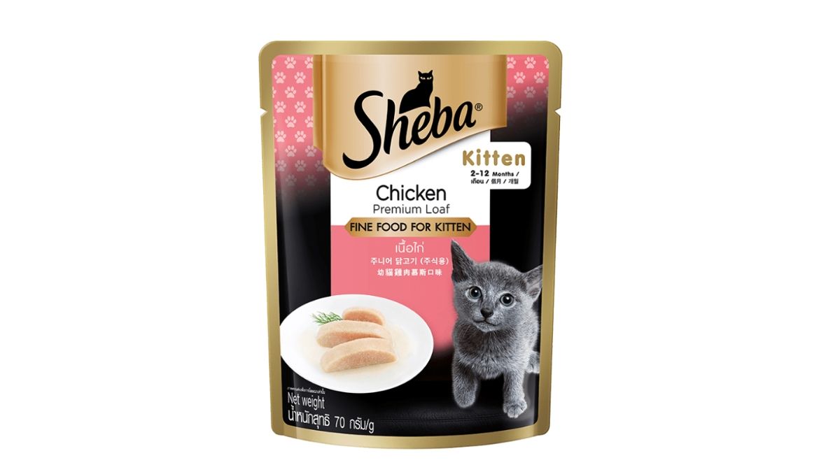 Sheba Pouch Kitten Chicken 70gr