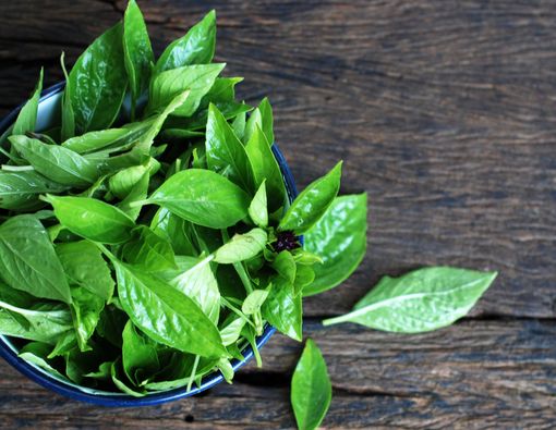 Manfaat Daun Kemangi untuk Pengobatan Kanker