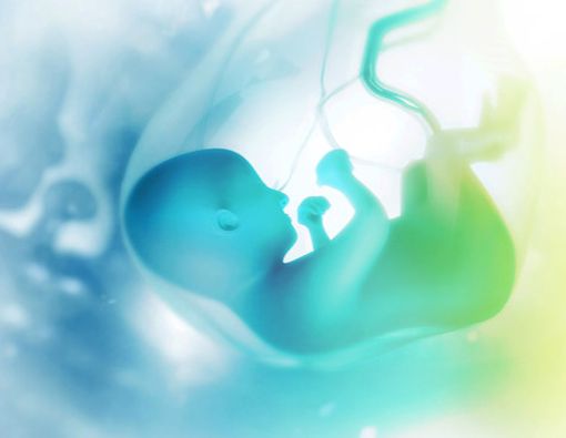 Puasa bagi Ibu Hamil Muda, Apakah Aman?