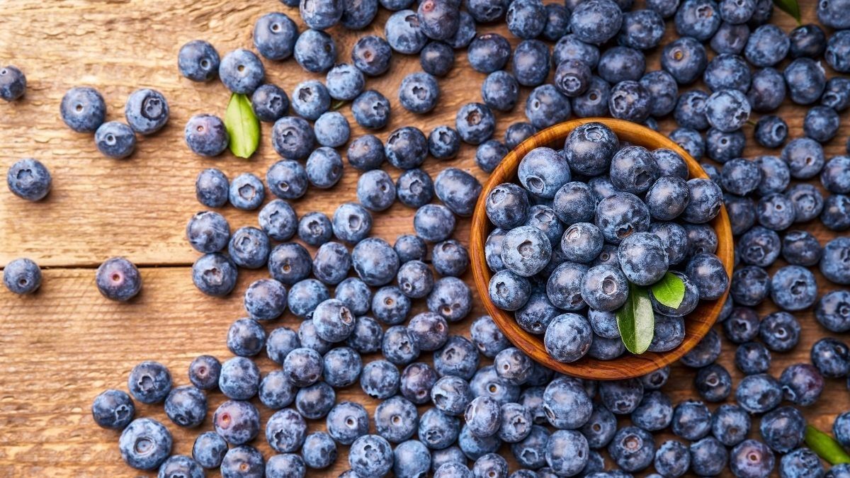 Manfaat Blueberry untuk Menu MPASI