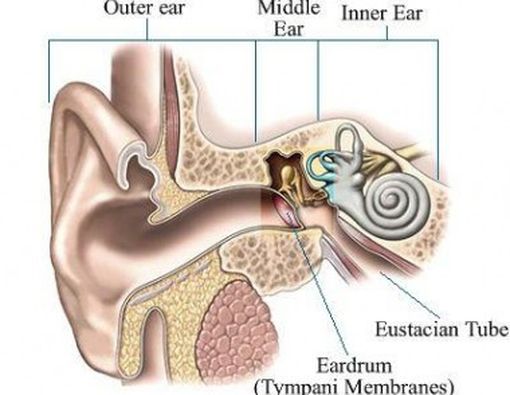 Glue Ear Kronis Tidak Butuh Operasi Lagi
