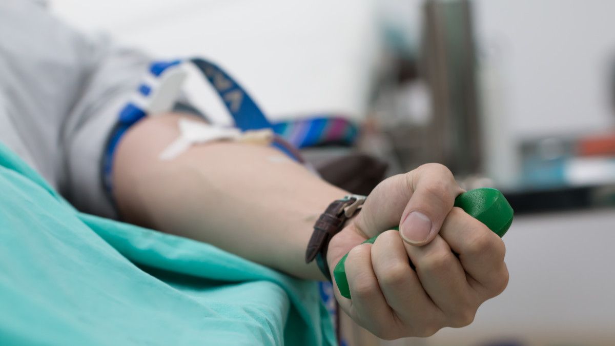 Dampak Positif dan Negatif Donor Darah bagi Kesehatan