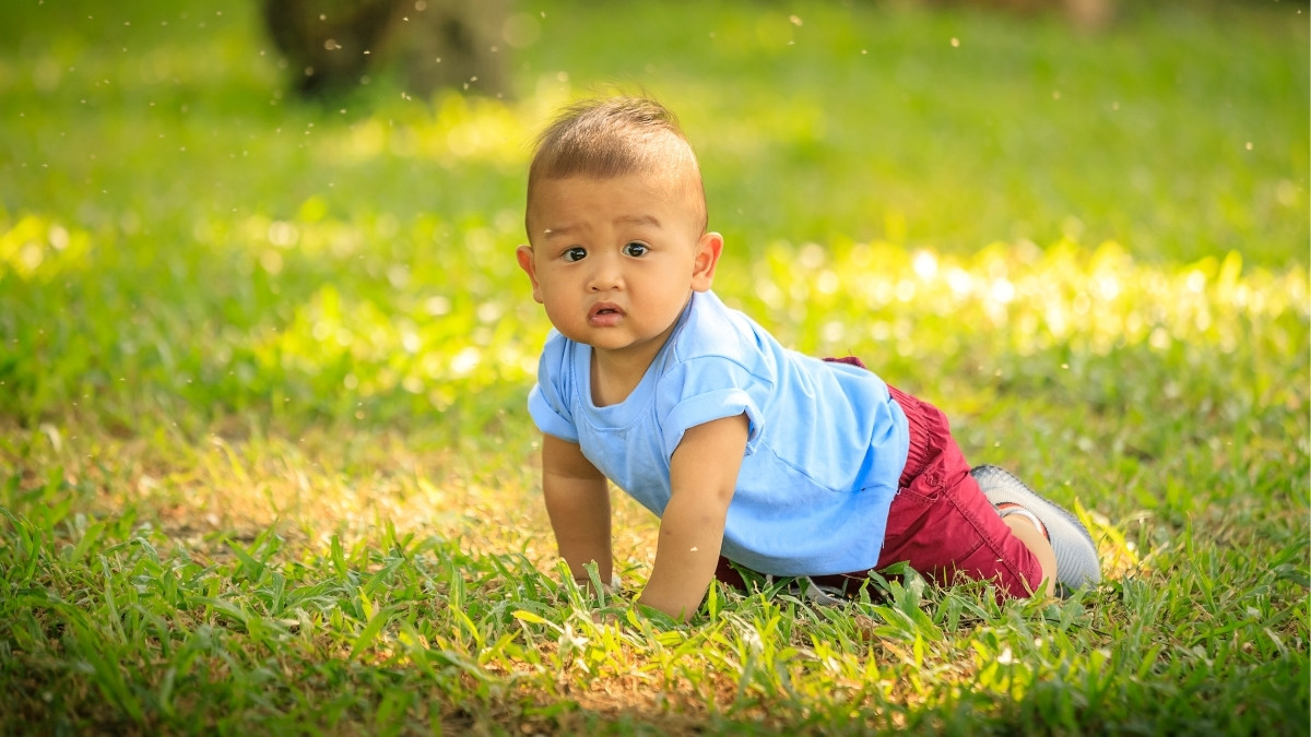 Kapan Bayi Mulai Bisa Merangkak? Ini Faktanya