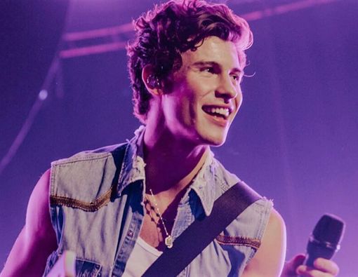 Sakit Laringitis dan Sinusitis, Shawn Mendes Batalkan Konser