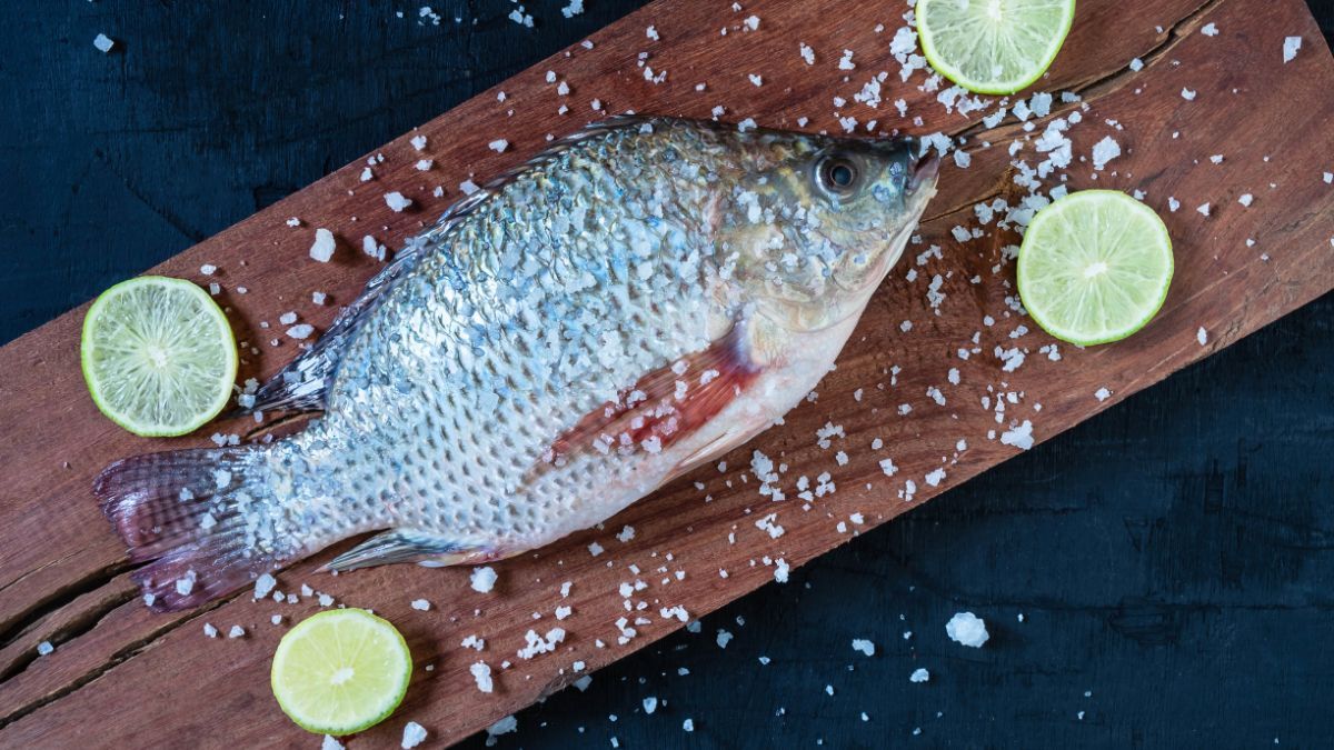 17 Manfaat Konsumsi Ikan Nila untuk Kesehatan