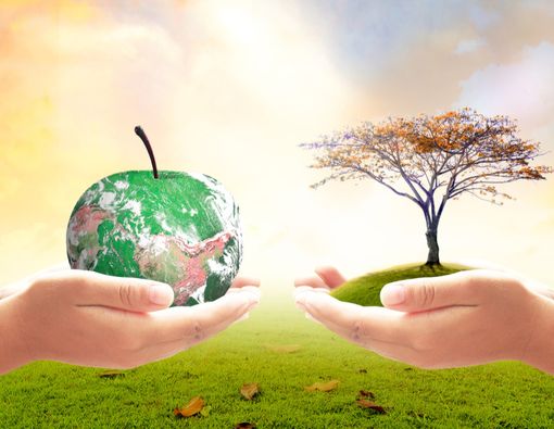 Hari Pangan Sedunia 2019, Menuju ZeroHunger