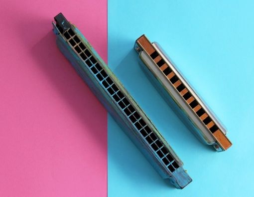 Bermain Harmonika Bisa Tingkatkan Kesehatan Paru, Benarkah?