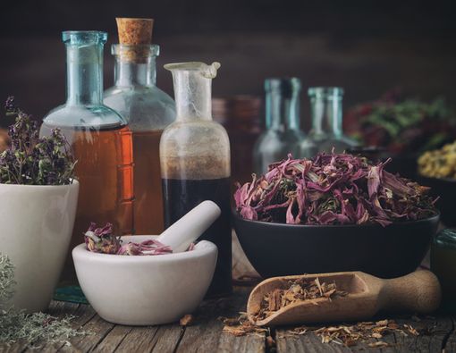 Tanaman Obat untuk Meredakan Sakit saat Menstruasi