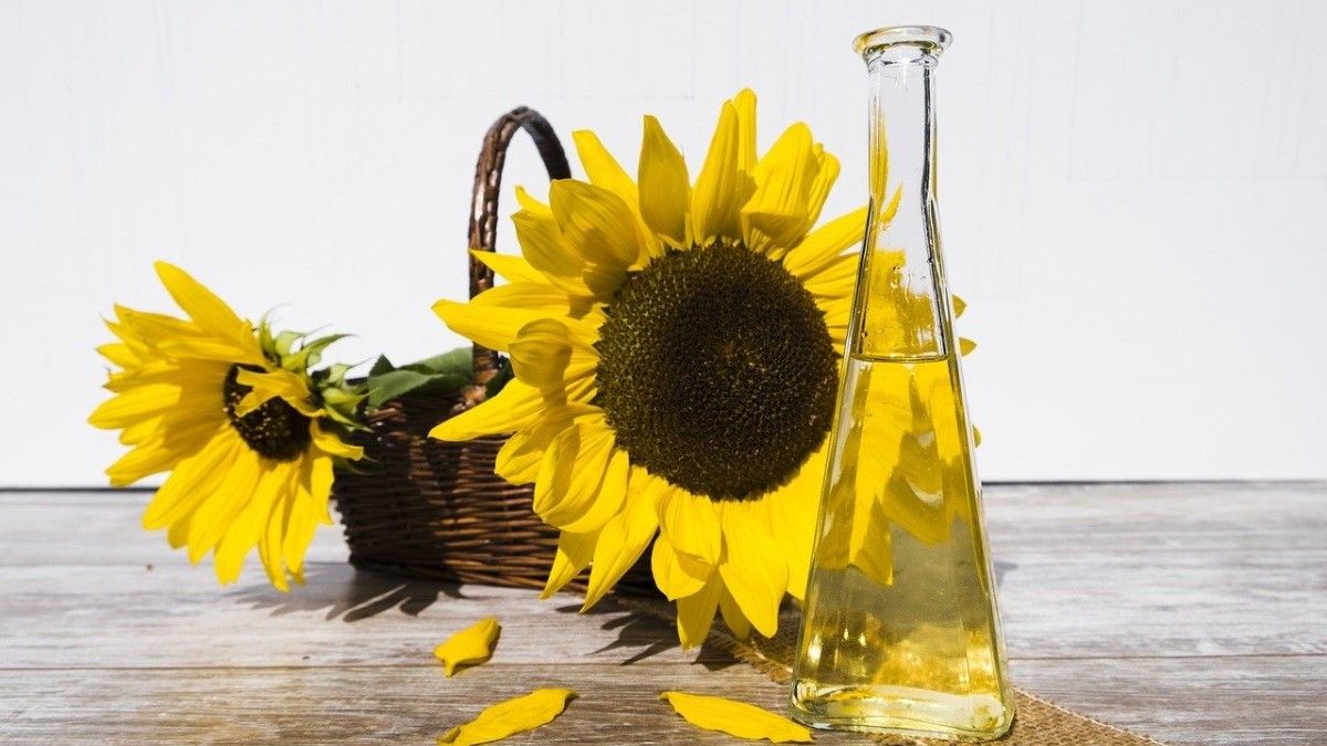 Minyak Biji Bunga Matahari Kaya Manfaat untuk Kesehatan, Apa Saja?