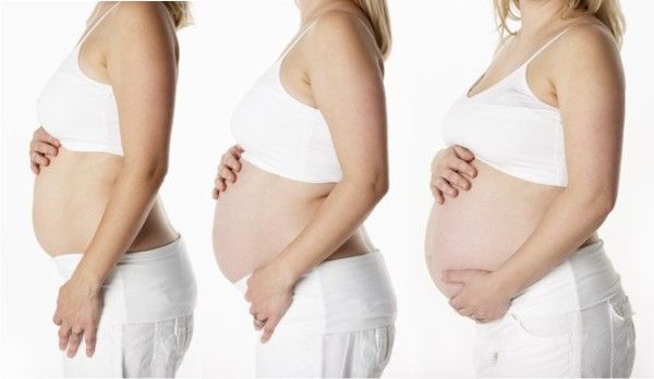 Memahami Tahapan Masa Kehamilan