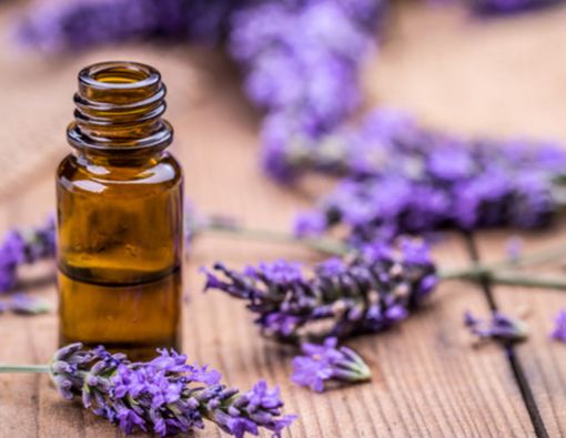 Berbagai Essential Oil untuk Mengatasi Migrain dan Sakit Kepala