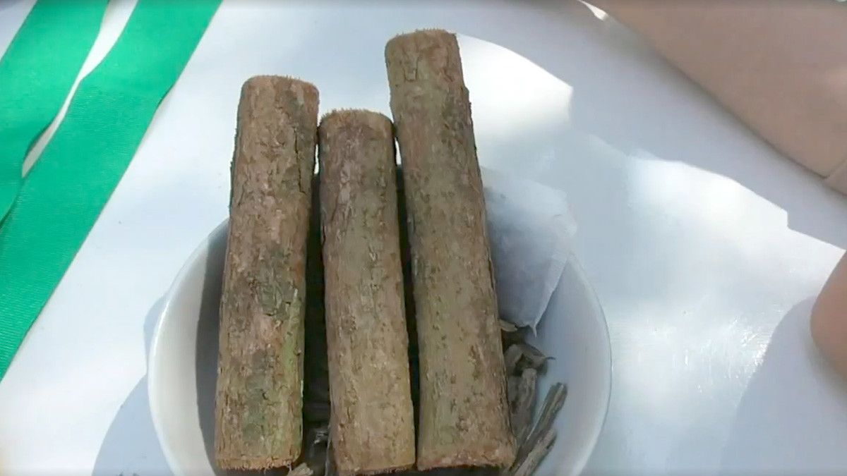 Benarkah Kayu Bajakah Bisa Mengobati Kanker?