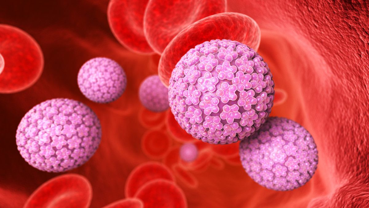 HPV dan Virus Corona Sama-Sama Berbahaya, Ini Perbandingannya
