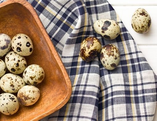 10 Manfaat Telur Puyuh untuk Kesehatan Tubuh