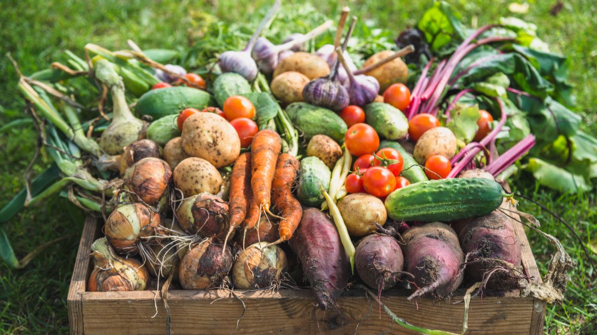 Makanan yang Dianjurkan dan Dilarang Saat Wasir