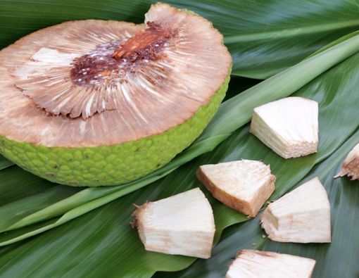 Benarkah Buah Sukun Bisa Bikin Perut Kenyang dan Tambah Energi?