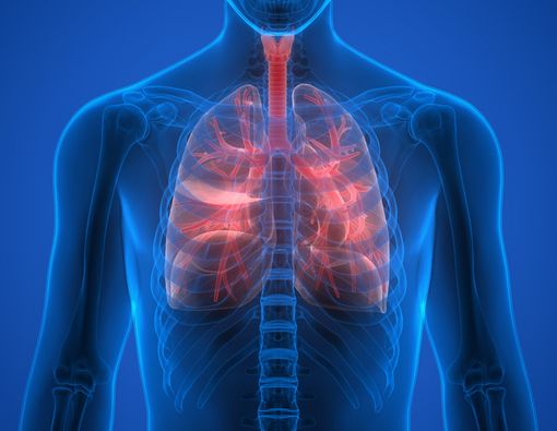5 Kiat Menjaga Kesehatan Paru