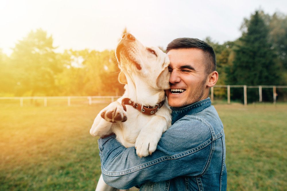 10 Tanda Anjing Kesayangan Anda juga Bisa Depresi