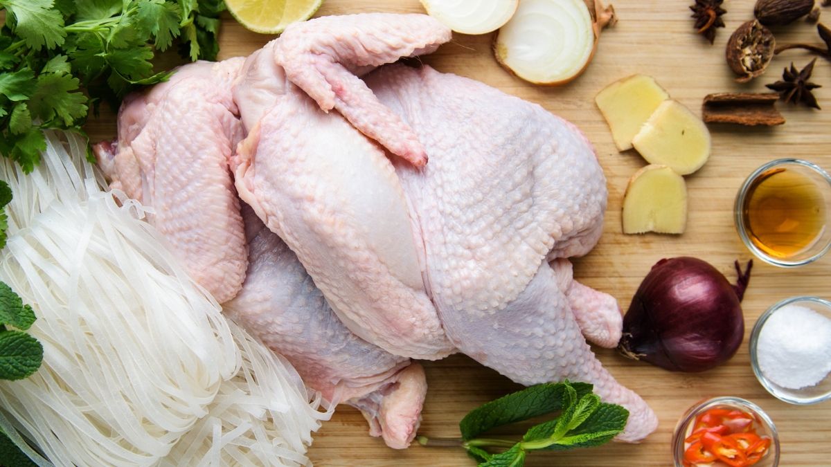 Mengenal Ayam Probiotik dan Manfaatnya untuk Kesehatan