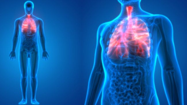 Jenis Terapi Alternatif untuk Pengobatan Kanker Paru