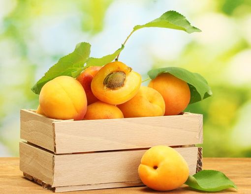 Manfaat Aprikot untuk Kesehatan dan Kecantikan Kulit