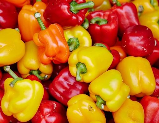 Menyingkap Manfaat Paprika untuk Mengatasi Kulit Keriput